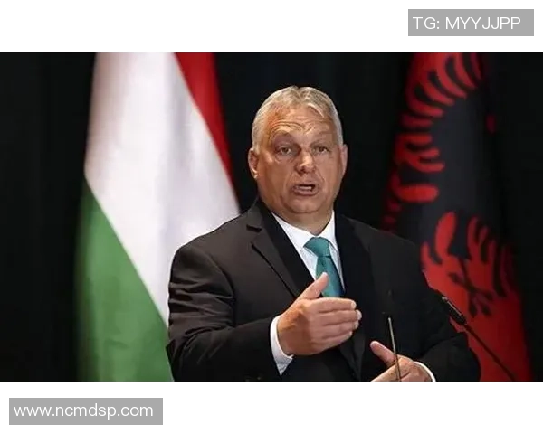 专访李丽：探寻她在篮球领域取得成功的秘诀与心路历程