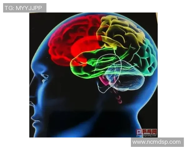 上海乒乓球队反击战术解析与实战应用探讨 上海乒乓球队反击战术解析与实战应用探讨