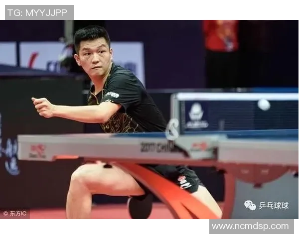 从零开始掌握乒乓球技巧与战术全面指南助你成为乒乓球高手