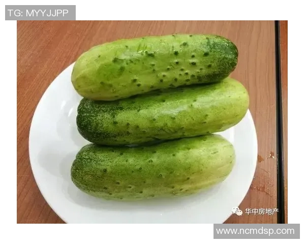 凉拌足球的独特魅力与创意搭配让你在球赛中享受美味与激情