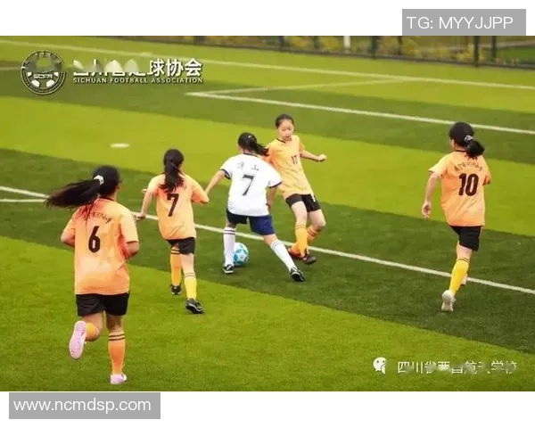 少年足球腾代汉化之旅探索青春与梦想的激情与挑战