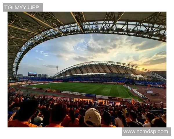 梦幻足球狂欢盛宴尽享激情与荣耀的绿茵之旅