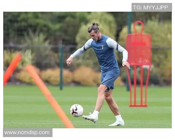 热刺队足球：重塑辉煌之路与未来展望的全新篇章