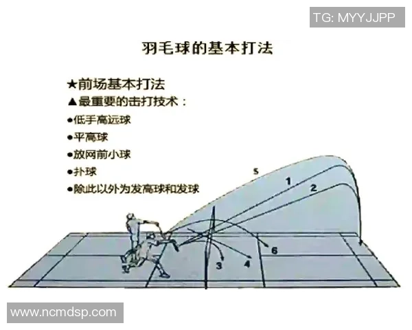 科学羽毛球比赛经验与训练方法的全面解析与实用技巧分享