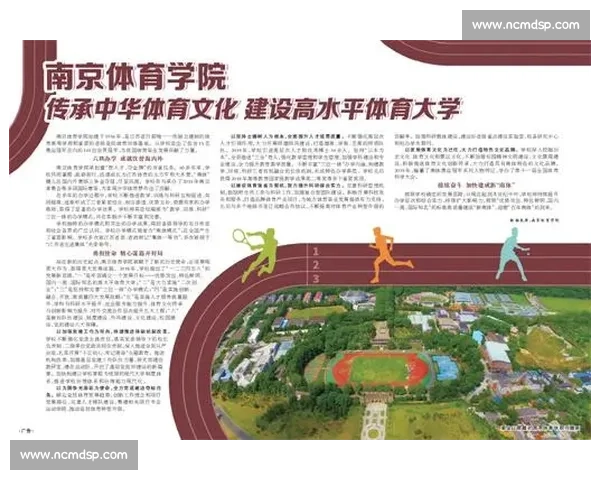 体育管理视角下的组织文化建设与创新实践研究探索